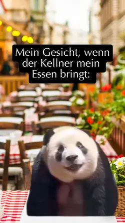 Panda 😍