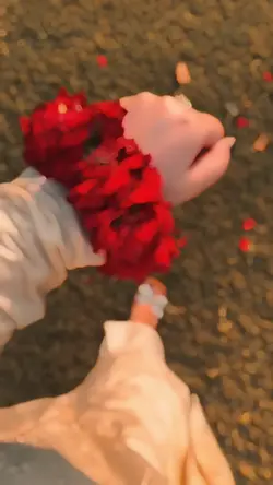 SMOOTH SLOWMO