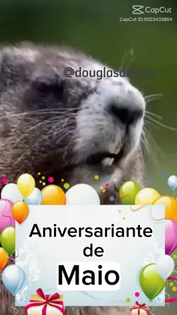 Aniversariante Julho