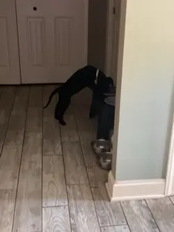 Melting