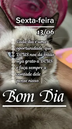 BOM DIA 
