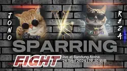 Poster sparing fight