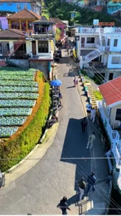 📍Nepal Van Java