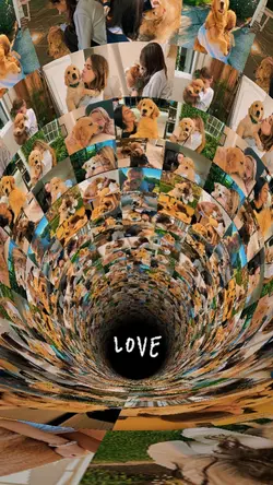 photo collage roll
