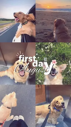 first day august