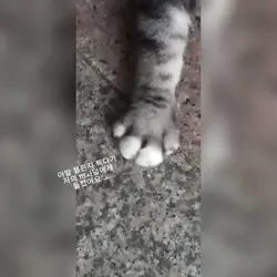낫띵쑤
