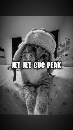 Jet jet cực peak