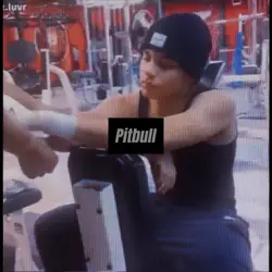 Pitbull terrier!!