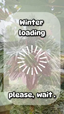Winter loading 