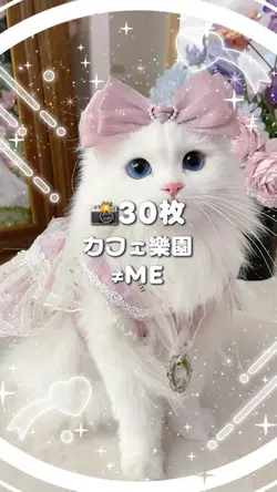 🎵カフェ樂園