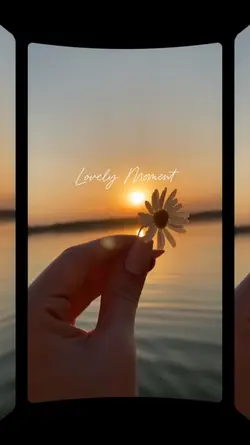 Lovely Moment