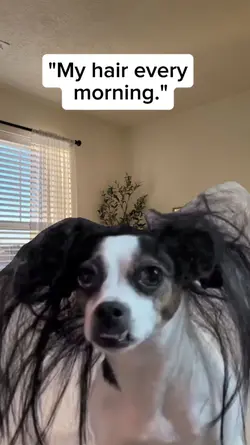 My hair every mornin