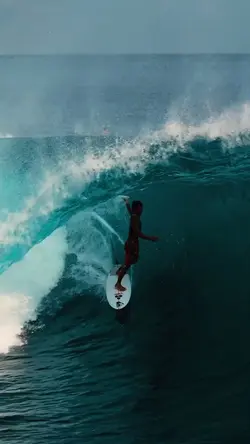 surf