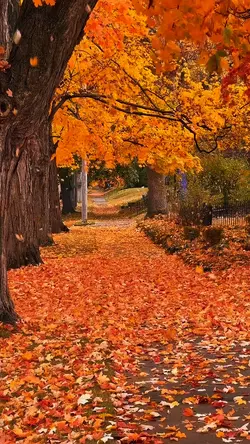 Autumn 2025