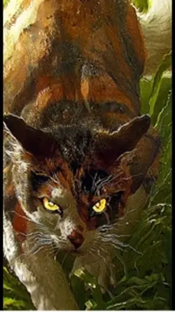 MapleShade
