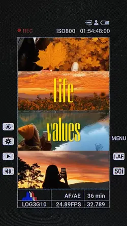 Life values-october