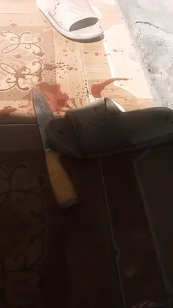 Fake blood