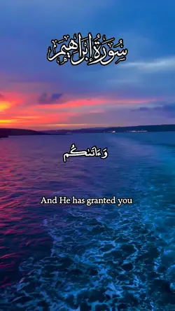 Quran template 