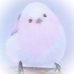きゃわいい編集 再です