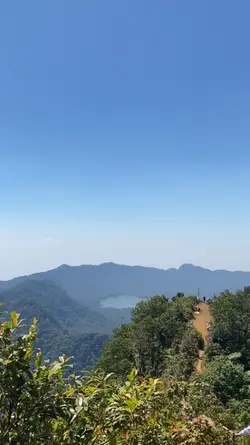 VIDEO TRIP