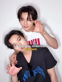 FANCAM