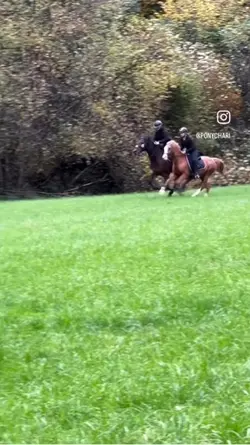 💜Smooth slowmo💜