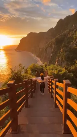template 5 video