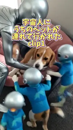 AI/ペットが連れて行かれた👽