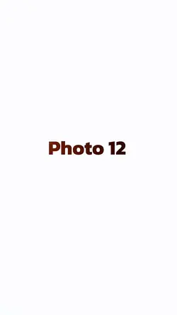 12 photos 