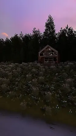 tny house