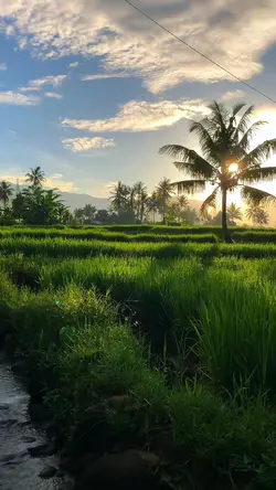 beautiful nature