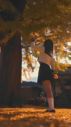music video 