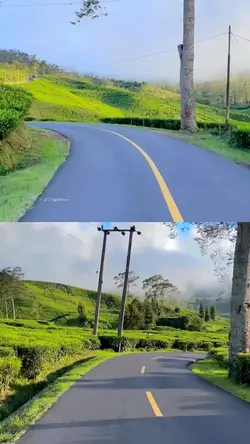 2 video 1 frame