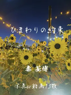 ひまわりの約束