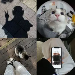 collage template