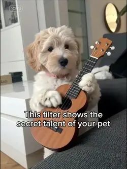 The secret talent