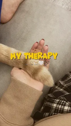 My mood therapy