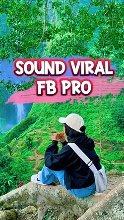 SOUND VIRAL FB PRO