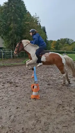 Reiten kein sport