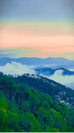 Beautiful nature 