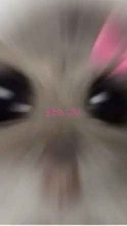 뽀까님 공주의 규칙 합작 2팥