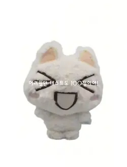 난 박편이랑 안맞아...