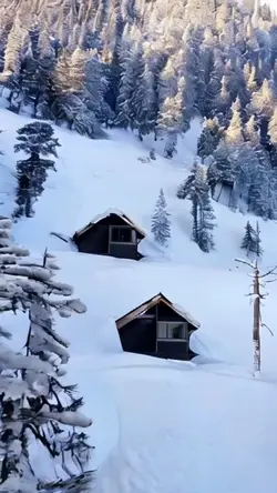 Snow