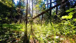 slowmo landscape