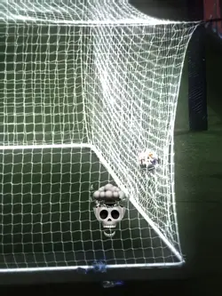 Skull
