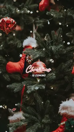 Noel 2024