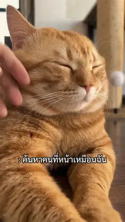 : ค้นหาคนที่หน้าเหมือนฉัน