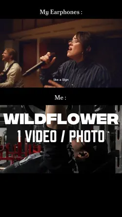 WILDFLOWER