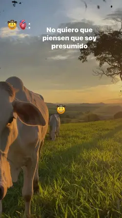 No soy presumido🤠