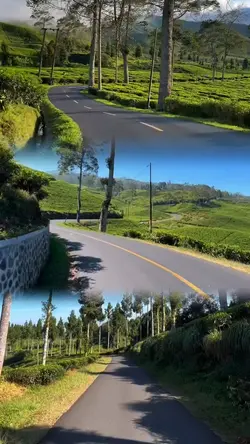 3 video satu layout